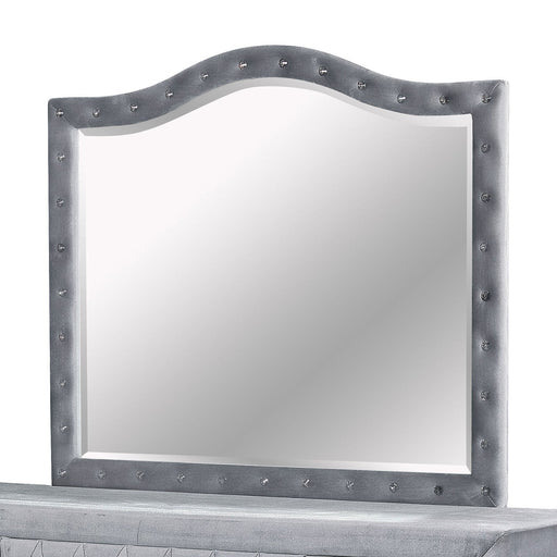 Alzir Gray Mirror - Premium Mirror from FOA East - Just $191.10! Shop now at Furniture Wholesale Plus  We are the best furniture store in Nashville, Hendersonville, Goodlettsville, Madison, Antioch, Mount Juliet, Lebanon, Gallatin, Springfield, Murfreesboro, Franklin, Brentwood