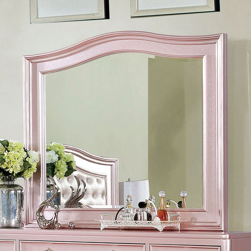 Ariston Rose Gold Mirror - Premium Mirror from FOA East - Just $210.60! Shop now at Furniture Wholesale Plus  We are the best furniture store in Nashville, Hendersonville, Goodlettsville, Madison, Antioch, Mount Juliet, Lebanon, Gallatin, Springfield, Murfreesboro, Franklin, Brentwood
