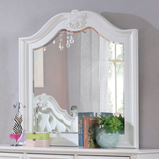BELVA Mirror - Premium Mirror from FOA East - Just $210.60! Shop now at Furniture Wholesale Plus  We are the best furniture store in Nashville, Hendersonville, Goodlettsville, Madison, Antioch, Mount Juliet, Lebanon, Gallatin, Springfield, Murfreesboro, Franklin, Brentwood