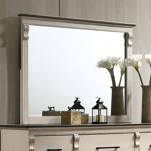 AGATHON Mirror - Premium Mirror from FOA East - Just $165.75! Shop now at Furniture Wholesale Plus  We are the best furniture store in Nashville, Hendersonville, Goodlettsville, Madison, Antioch, Mount Juliet, Lebanon, Gallatin, Springfield, Murfreesboro, Franklin, Brentwood