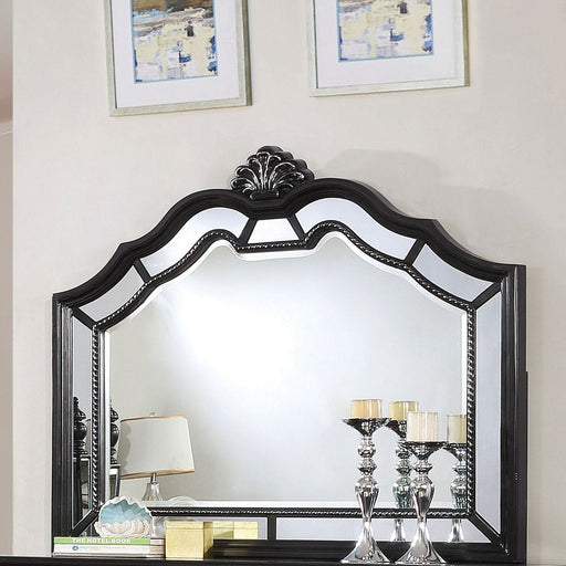 Azha Black Mirror - Premium Mirror from FOA East - Just $284.70! Shop now at Furniture Wholesale Plus  We are the best furniture store in Nashville, Hendersonville, Goodlettsville, Madison, Antioch, Mount Juliet, Lebanon, Gallatin, Springfield, Murfreesboro, Franklin, Brentwood