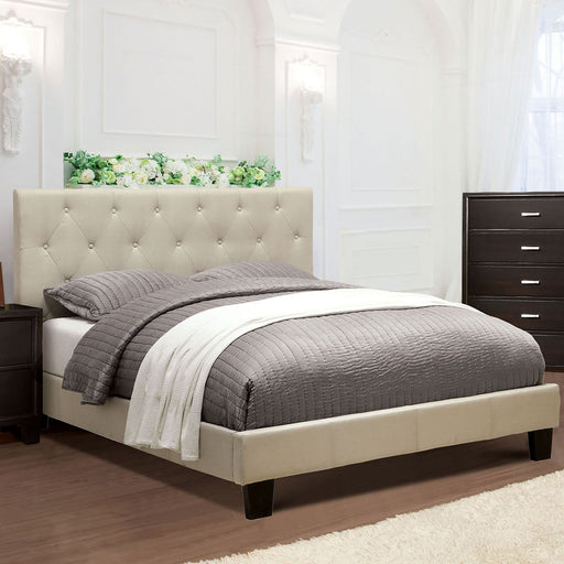 LEEROY Cal.King Bed - Premium Bed from FOA East - Just $374.40! Shop now at Furniture Wholesale Plus  We are the best furniture store in Nashville, Hendersonville, Goodlettsville, Madison, Antioch, Mount Juliet, Lebanon, Gallatin, Springfield, Murfreesboro, Franklin, Brentwood