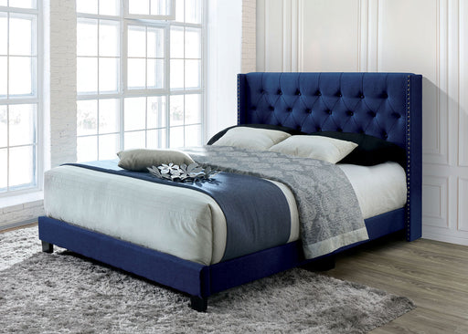 JENELLE Cal.King Bed, Navy - Premium Bed from FOA East - Just $325.65! Shop now at Furniture Wholesale Plus  We are the best furniture store in Nashville, Hendersonville, Goodlettsville, Madison, Antioch, Mount Juliet, Lebanon, Gallatin, Springfield, Murfreesboro, Franklin, Brentwood