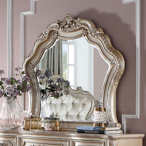 ROSALIND Mirror - Premium Mirror from FOA East - Just $378.30! Shop now at Furniture Wholesale Plus  We are the best furniture store in Nashville, Hendersonville, Goodlettsville, Madison, Antioch, Mount Juliet, Lebanon, Gallatin, Springfield, Murfreesboro, Franklin, Brentwood