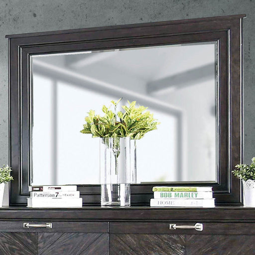 Argyros Espresso Mirror - Premium Mirror from FOA East - Just $235.95! Shop now at Furniture Wholesale Plus  We are the best furniture store in Nashville, Hendersonville, Goodlettsville, Madison, Antioch, Mount Juliet, Lebanon, Gallatin, Springfield, Murfreesboro, Franklin, Brentwood