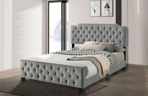 CHARLIZE Queen Bed, Gray - Premium Bed from FOA East - Just $325.65! Shop now at Furniture Wholesale Plus  We are the best furniture store in Nashville, Hendersonville, Goodlettsville, Madison, Antioch, Mount Juliet, Lebanon, Gallatin, Springfield, Murfreesboro, Franklin, Brentwood