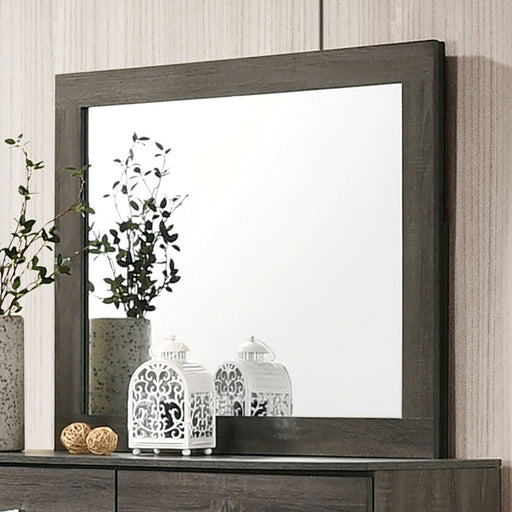 RICHTERSWIL Mirror - Premium Mirror from FOA East - Just $118.95! Shop now at Furniture Wholesale Plus  We are the best furniture store in Nashville, Hendersonville, Goodlettsville, Madison, Antioch, Mount Juliet, Lebanon, Gallatin, Springfield, Murfreesboro, Franklin, Brentwood