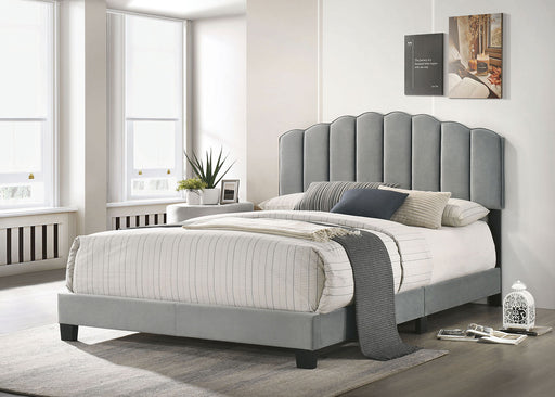 NERINA Full Bed, Light Gray - Premium Bed from FOA East - Just $234! Shop now at Furniture Wholesale Plus  We are the best furniture store in Nashville, Hendersonville, Goodlettsville, Madison, Antioch, Mount Juliet, Lebanon, Gallatin, Springfield, Murfreesboro, Franklin, Brentwood