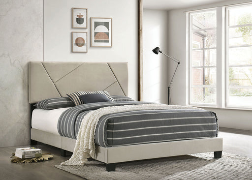 CLEOME Cal.King Bed, Light Gray - Premium Bed from FOA East - Just $304.20! Shop now at Furniture Wholesale Plus  We are the best furniture store in Nashville, Hendersonville, Goodlettsville, Madison, Antioch, Mount Juliet, Lebanon, Gallatin, Springfield, Murfreesboro, Franklin, Brentwood