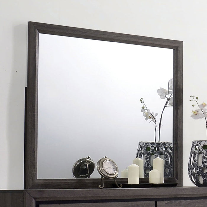 Conwy Gray Mirror - Premium Mirror from FOA East - Just $118.95! Shop now at Furniture Wholesale Plus  We are the best furniture store in Nashville, Hendersonville, Goodlettsville, Madison, Antioch, Mount Juliet, Lebanon, Gallatin, Springfield, Murfreesboro, Franklin, Brentwood