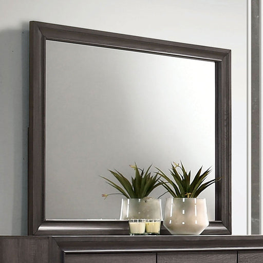 Chrissy Gray Mirror - Premium Mirror from FOA East - Just $142.35! Shop now at Furniture Wholesale Plus  We are the best furniture store in Nashville, Hendersonville, Goodlettsville, Madison, Antioch, Mount Juliet, Lebanon, Gallatin, Springfield, Murfreesboro, Franklin, Brentwood