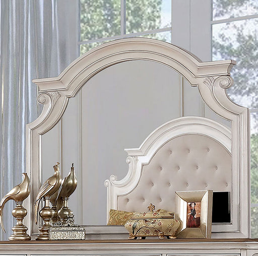 Pembroke Antique Whitewash Mirror - Premium Mirror from FOA East - Just $261.30! Shop now at Furniture Wholesale Plus  We are the best furniture store in Nashville, Hendersonville, Goodlettsville, Madison, Antioch, Mount Juliet, Lebanon, Gallatin, Springfield, Murfreesboro, Franklin, Brentwood