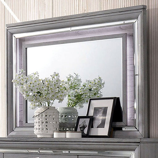 Alanis Light Gray Mirror - Premium Mirror from FOA East - Just $354.90! Shop now at Furniture Wholesale Plus  We are the best furniture store in Nashville, Hendersonville, Goodlettsville, Madison, Antioch, Mount Juliet, Lebanon, Gallatin, Springfield, Murfreesboro, Franklin, Brentwood