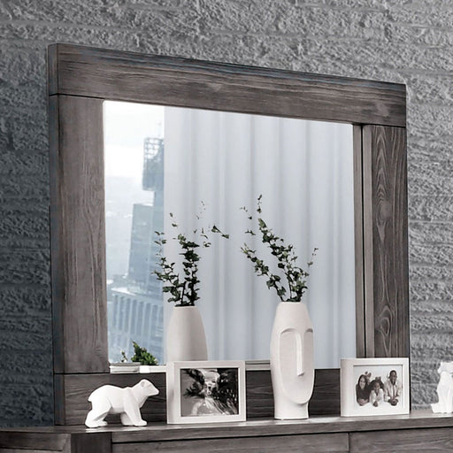 Janeiro Gray Mirror - Premium Mirror from FOA East - Just $284.70! Shop now at Furniture Wholesale Plus  We are the best furniture store in Nashville, Hendersonville, Goodlettsville, Madison, Antioch, Mount Juliet, Lebanon, Gallatin, Springfield, Murfreesboro, Franklin, Brentwood
