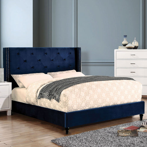 ALGOL E.King Bed - Premium Bed from FOA East - Just $466.05! Shop now at Furniture Wholesale Plus  We are the best furniture store in Nashville, Hendersonville, Goodlettsville, Madison, Antioch, Mount Juliet, Lebanon, Gallatin, Springfield, Murfreesboro, Franklin, Brentwood