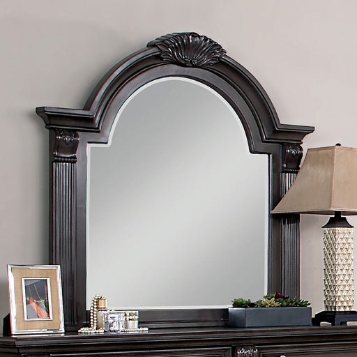 ESPERIA Mirror - Premium Mirror from FOA East - Just $329.55! Shop now at Furniture Wholesale Plus  We are the best furniture store in Nashville, Hendersonville, Goodlettsville, Madison, Antioch, Mount Juliet, Lebanon, Gallatin, Springfield, Murfreesboro, Franklin, Brentwood