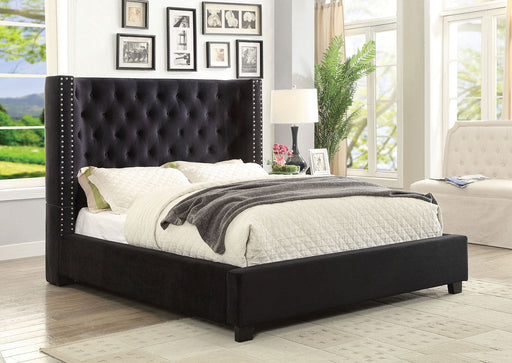 CARLEY Queen Bed, Dark Gray - Premium Bed from FOA East - Just $727.35! Shop now at Furniture Wholesale Plus  We are the best furniture store in Nashville, Hendersonville, Goodlettsville, Madison, Antioch, Mount Juliet, Lebanon, Gallatin, Springfield, Murfreesboro, Franklin, Brentwood