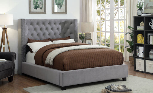 CARLEY Queen Bed, Gray - Premium Bed from FOA East - Just $727.35! Shop now at Furniture Wholesale Plus  We are the best furniture store in Nashville, Hendersonville, Goodlettsville, Madison, Antioch, Mount Juliet, Lebanon, Gallatin, Springfield, Murfreesboro, Franklin, Brentwood