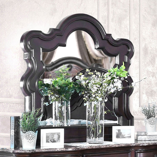 Arcturus Brown Cherry Mirror - Premium Mirror from FOA East - Just $354.90! Shop now at Furniture Wholesale Plus  We are the best furniture store in Nashville, Hendersonville, Goodlettsville, Madison, Antioch, Mount Juliet, Lebanon, Gallatin, Springfield, Murfreesboro, Franklin, Brentwood