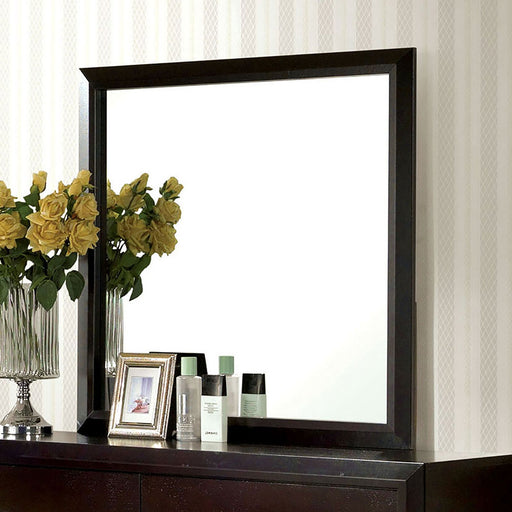 JANINE Espresso Mirror - Premium Mirror from FOA East - Just $118.95! Shop now at Furniture Wholesale Plus  We are the best furniture store in Nashville, Hendersonville, Goodlettsville, Madison, Antioch, Mount Juliet, Lebanon, Gallatin, Springfield, Murfreesboro, Franklin, Brentwood