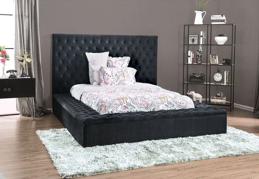 GOLATI E.King Bed, Dark Gray - Premium Bed from FOA East - Just $1101.75! Shop now at Furniture Wholesale Plus  We are the best furniture store in Nashville, Hendersonville, Goodlettsville, Madison, Antioch, Mount Juliet, Lebanon, Gallatin, Springfield, Murfreesboro, Franklin, Brentwood