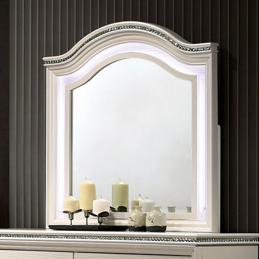 ALLIE Mirror - Premium Mirror from FOA East - Just $329.55! Shop now at Furniture Wholesale Plus  We are the best furniture store in Nashville, Hendersonville, Goodlettsville, Madison, Antioch, Mount Juliet, Lebanon, Gallatin, Springfield, Murfreesboro, Franklin, Brentwood
