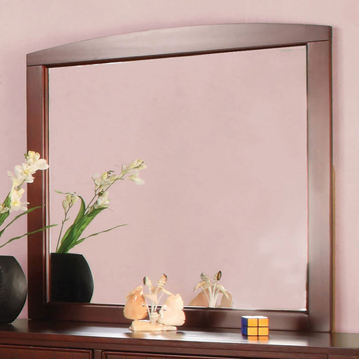 Omnus Cherry Mirror - Premium Mirror from FOA East - Just $118.95! Shop now at Furniture Wholesale Plus  We are the best furniture store in Nashville, Hendersonville, Goodlettsville, Madison, Antioch, Mount Juliet, Lebanon, Gallatin, Springfield, Murfreesboro, Franklin, Brentwood