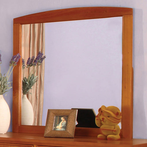 Omnus Oak Mirror - Premium Mirror from FOA East - Just $118.95! Shop now at Furniture Wholesale Plus  We are the best furniture store in Nashville, Hendersonville, Goodlettsville, Madison, Antioch, Mount Juliet, Lebanon, Gallatin, Springfield, Murfreesboro, Franklin, Brentwood