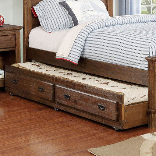 Colin Dark Oak Trundle - Premium Trundle from FOA East - Just $235.95! Shop now at Furniture Wholesale Plus  We are the best furniture store in Nashville, Hendersonville, Goodlettsville, Madison, Antioch, Mount Juliet, Lebanon, Gallatin, Springfield, Murfreesboro, Franklin, Brentwood