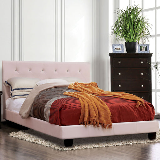 Velen Blush Pink Full Bed - Premium Bed from FOA East - Just $304.20! Shop now at Furniture Wholesale Plus  We are the best furniture store in Nashville, Hendersonville, Goodlettsville, Madison, Antioch, Mount Juliet, Lebanon, Gallatin, Springfield, Murfreesboro, Franklin, Brentwood