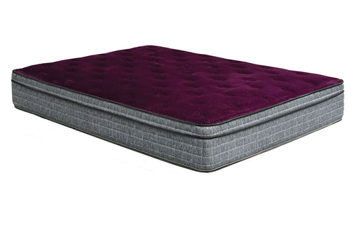 Purple/Grey 13" Euro Pillow Top Mattress Non-Flip, Full - Premium Mattress from FOA East - Just $795.60! Shop now at Furniture Wholesale Plus  We are the best furniture store in Nashville, Hendersonville, Goodlettsville, Madison, Antioch, Mount Juliet, Lebanon, Gallatin, Springfield, Murfreesboro, Franklin, Brentwood