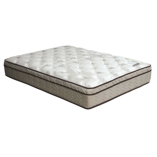 Lilium White/Brown 13" Euro Pillow Top Mattress, E.King - Premium Mattress from FOA East - Just $1197.30! Shop now at Furniture Wholesale Plus  We are the best furniture store in Nashville, Hendersonville, Goodlettsville, Madison, Antioch, Mount Juliet, Lebanon, Gallatin, Springfield, Murfreesboro, Franklin, Brentwood