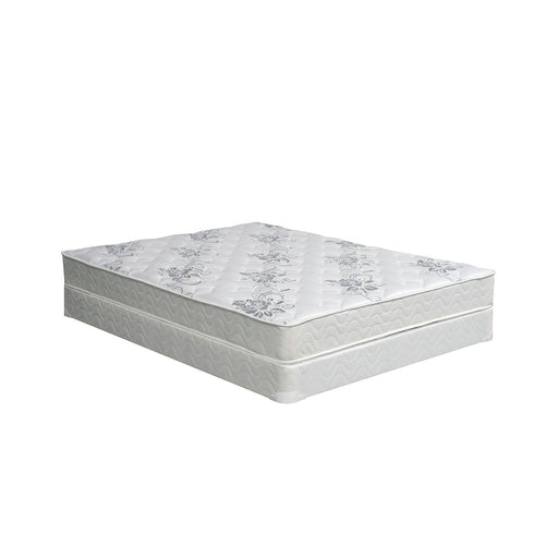 ELBERTYNA White 8" Tight Top Mattress, Full - Premium Mattress from FOA East - Just $374.40! Shop now at Furniture Wholesale Plus  We are the best furniture store in Nashville, Hendersonville, Goodlettsville, Madison, Antioch, Mount Juliet, Lebanon, Gallatin, Springfield, Murfreesboro, Franklin, Brentwood