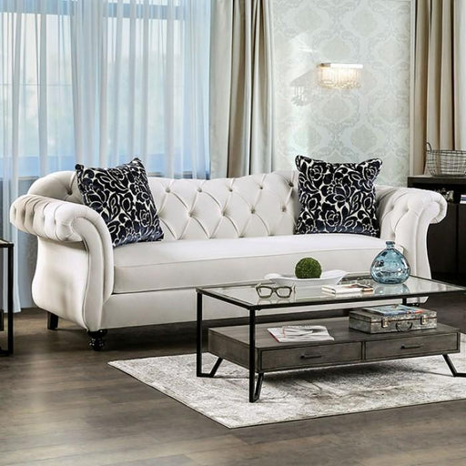ANTOINETTE Sofa - Premium Sofa from FOA East - Just $2343.90! Shop now at Furniture Wholesale Plus  We are the best furniture store in Nashville, Hendersonville, Goodlettsville, Madison, Antioch, Mount Juliet, Lebanon, Gallatin, Springfield, Murfreesboro, Franklin, Brentwood