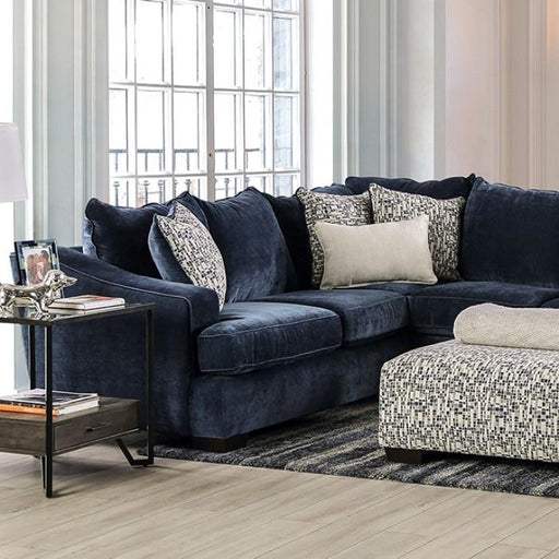 DARLINGTON Sectional - Premium Sectional from FOA East - Just $2572.05! Shop now at Furniture Wholesale Plus  We are the best furniture store in Nashville, Hendersonville, Goodlettsville, Madison, Antioch, Mount Juliet, Lebanon, Gallatin, Springfield, Murfreesboro, Franklin, Brentwood