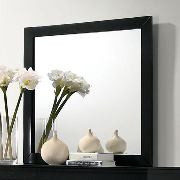 LOUIS PHILIPPE Mirror - Premium Mirror from FOA East - Just $95.55! Shop now at Furniture Wholesale Plus  We are the best furniture store in Nashville, Hendersonville, Goodlettsville, Madison, Antioch, Mount Juliet, Lebanon, Gallatin, Springfield, Murfreesboro, Franklin, Brentwood