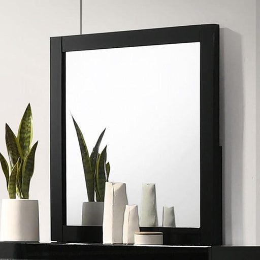MAGDEBURG Mirror, Black - Premium Mirror from FOA East - Just $142.35! Shop now at Furniture Wholesale Plus  We are the best furniture store in Nashville, Hendersonville, Goodlettsville, Madison, Antioch, Mount Juliet, Lebanon, Gallatin, Springfield, Murfreesboro, Franklin, Brentwood