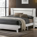 MAGDEBURG Queen Bed, White - Premium Bed from FOA East - Just $421.20! Shop now at Furniture Wholesale Plus  We are the best furniture store in Nashville, Hendersonville, Goodlettsville, Madison, Antioch, Mount Juliet, Lebanon, Gallatin, Springfield, Murfreesboro, Franklin, Brentwood