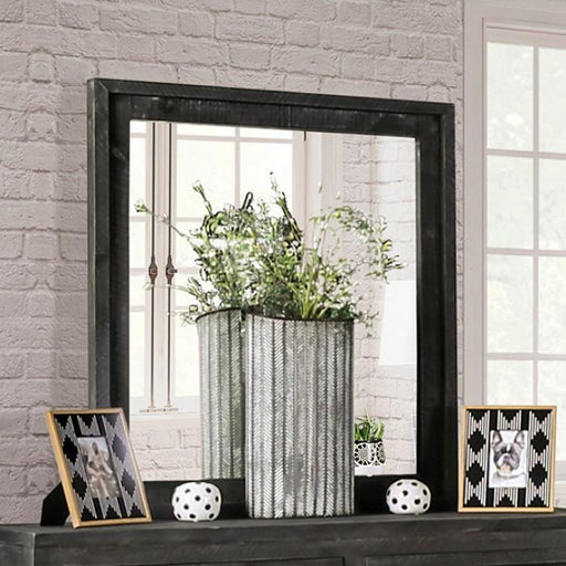 OAKRIDGE Mirror, Charcoal - Premium Mirror from FOA East - Just $354.90! Shop now at Furniture Wholesale Plus  We are the best furniture store in Nashville, Hendersonville, Goodlettsville, Madison, Antioch, Mount Juliet, Lebanon, Gallatin, Springfield, Murfreesboro, Franklin, Brentwood