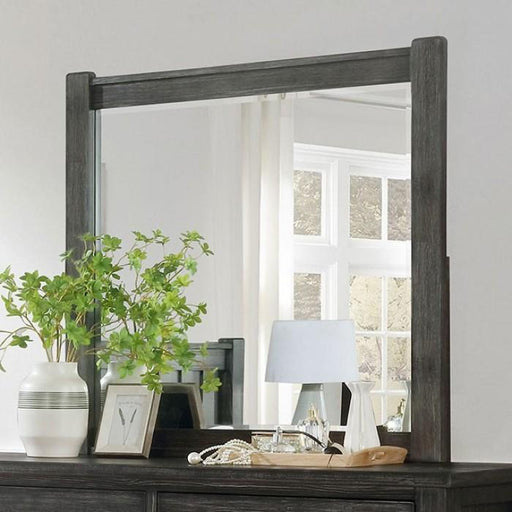 REGENSBURG Mirror - Premium Mirror from FOA East - Just $165.75! Shop now at Furniture Wholesale Plus  We are the best furniture store in Nashville, Hendersonville, Goodlettsville, Madison, Antioch, Mount Juliet, Lebanon, Gallatin, Springfield, Murfreesboro, Franklin, Brentwood