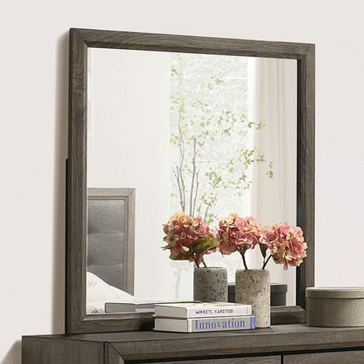 ROANNE Mirror - Premium Mirror from FOA East - Just $95.55! Shop now at Furniture Wholesale Plus  We are the best furniture store in Nashville, Hendersonville, Goodlettsville, Madison, Antioch, Mount Juliet, Lebanon, Gallatin, Springfield, Murfreesboro, Franklin, Brentwood