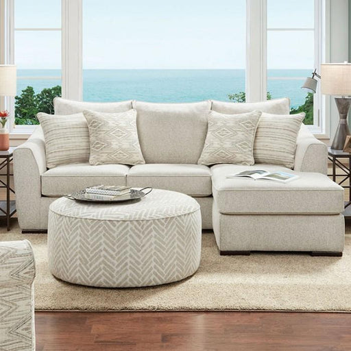SALTNEY Sectional - Premium Sectional from FOA East - Just $1499.55! Shop now at Furniture Wholesale Plus  We are the best furniture store in Nashville, Hendersonville, Goodlettsville, Madison, Antioch, Mount Juliet, Lebanon, Gallatin, Springfield, Murfreesboro, Franklin, Brentwood