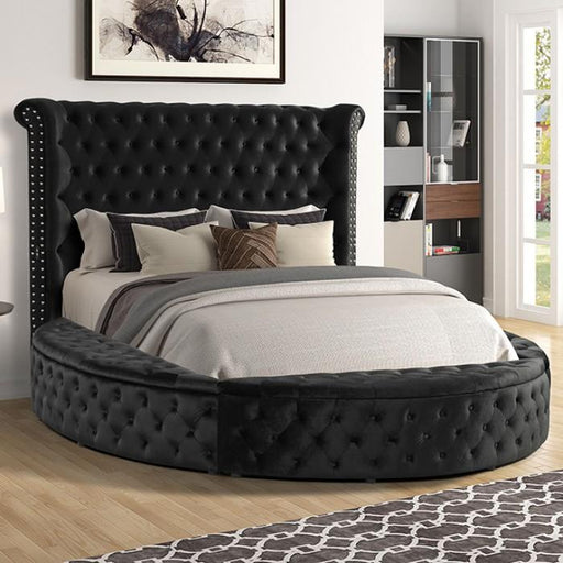 SANSOM Cal.King Bed, Black - Premium Bed from FOA East - Just $1667.25! Shop now at Furniture Wholesale Plus  We are the best furniture store in Nashville, Hendersonville, Goodlettsville, Madison, Antioch, Mount Juliet, Lebanon, Gallatin, Springfield, Murfreesboro, Franklin, Brentwood