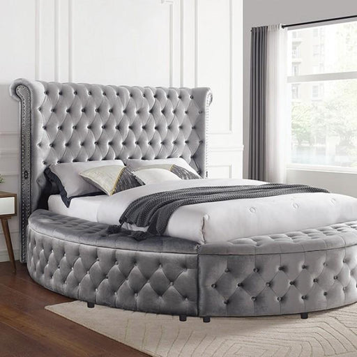 SANSOM E.King Bed, Gray - Premium Bed from FOA East - Just $1667.25! Shop now at Furniture Wholesale Plus  We are the best furniture store in Nashville, Hendersonville, Goodlettsville, Madison, Antioch, Mount Juliet, Lebanon, Gallatin, Springfield, Murfreesboro, Franklin, Brentwood