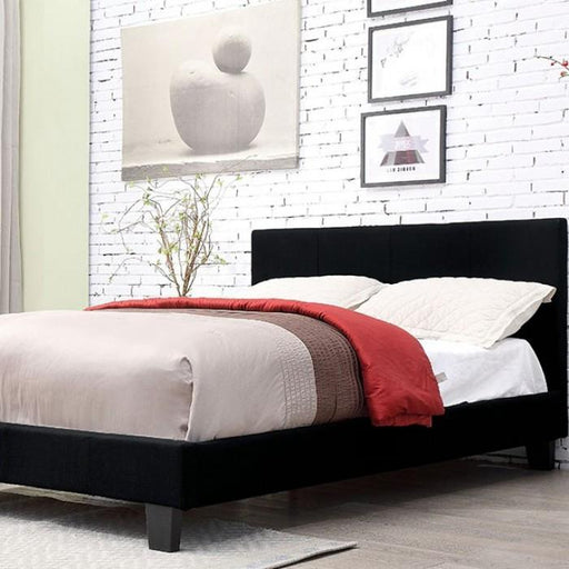 SIMS Cal.King Bed - Premium Bed from FOA East - Just $304.20! Shop now at Furniture Wholesale Plus  We are the best furniture store in Nashville, Hendersonville, Goodlettsville, Madison, Antioch, Mount Juliet, Lebanon, Gallatin, Springfield, Murfreesboro, Franklin, Brentwood
