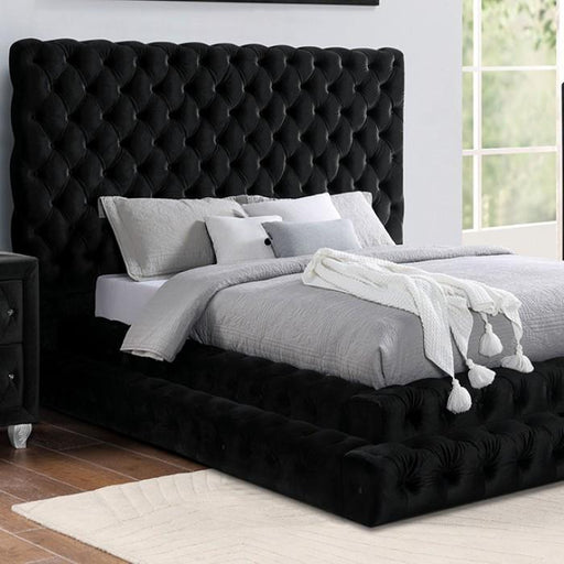 STEFANIA Cal.King Bed, Black - Premium Bed from FOA East - Just $1216.80! Shop now at Furniture Wholesale Plus  We are the best furniture store in Nashville, Hendersonville, Goodlettsville, Madison, Antioch, Mount Juliet, Lebanon, Gallatin, Springfield, Murfreesboro, Franklin, Brentwood
