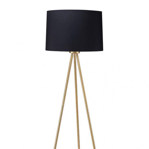 ZERA Floor Lamp, Black/Gold - Premium Lamp from FOA East - Just $163.80! Shop now at Furniture Wholesale Plus  We are the best furniture store in Nashville, Hendersonville, Goodlettsville, Madison, Antioch, Mount Juliet, Lebanon, Gallatin, Springfield, Murfreesboro, Franklin, Brentwood