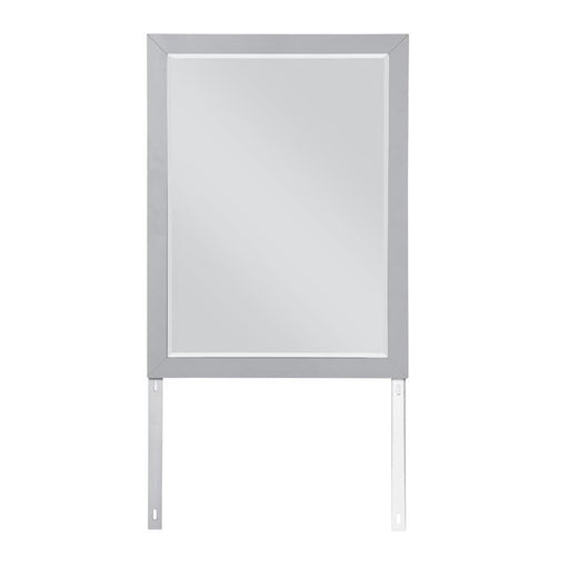 Homelegance Orion Mirror in Gray B2063-6 - Premium Mirror from Homelegance (Titan Warehouse) - Just $87.75! Shop now at Furniture Wholesale Plus  We are the best furniture store in Nashville, Hendersonville, Goodlettsville, Madison, Antioch, Mount Juliet, Lebanon, Gallatin, Springfield, Murfreesboro, Franklin, Brentwood